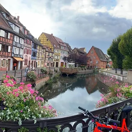 Mobil 6 Personnes Alsace キャンプ場 ビースハイム